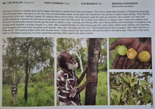 Load image into Gallery viewer, Pormpuraaw Cultural Uses for Plants 1st edition