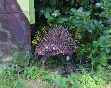 Load image into Gallery viewer, Echidna - Ghost net Sculpture