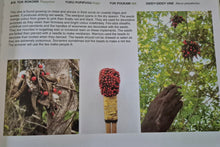 Load image into Gallery viewer, Pormpuraaw Cultural Uses for Plants 1st edition
