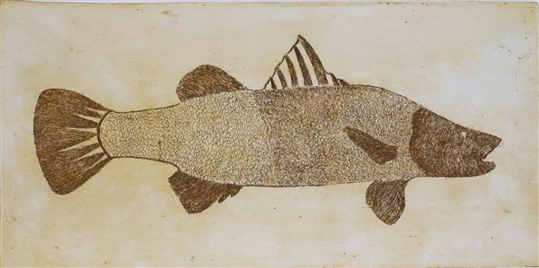 Nga'a Toto Barramundi - Limited edition etching