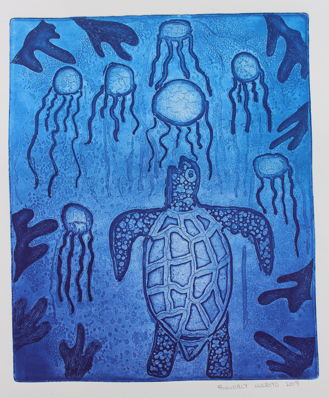 Jellyfish and Sea Turtle Story