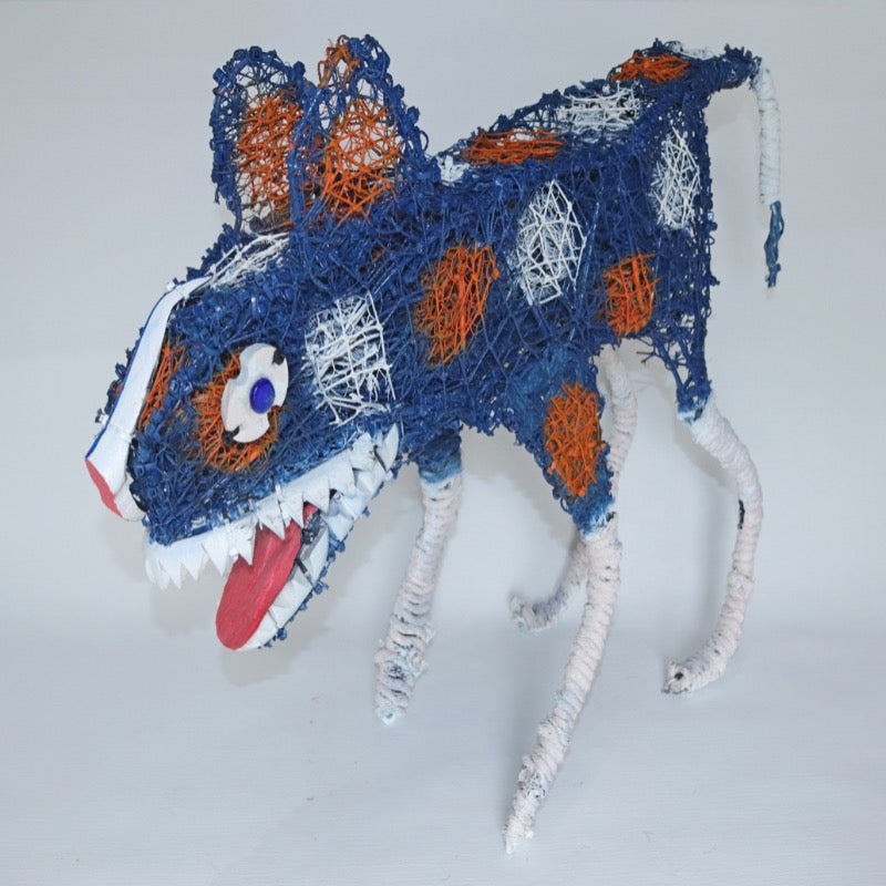 Ghost-net Pormpuraaw Blue Dog