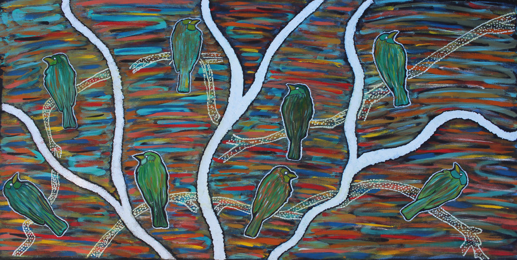 Pormpuraaw Birds